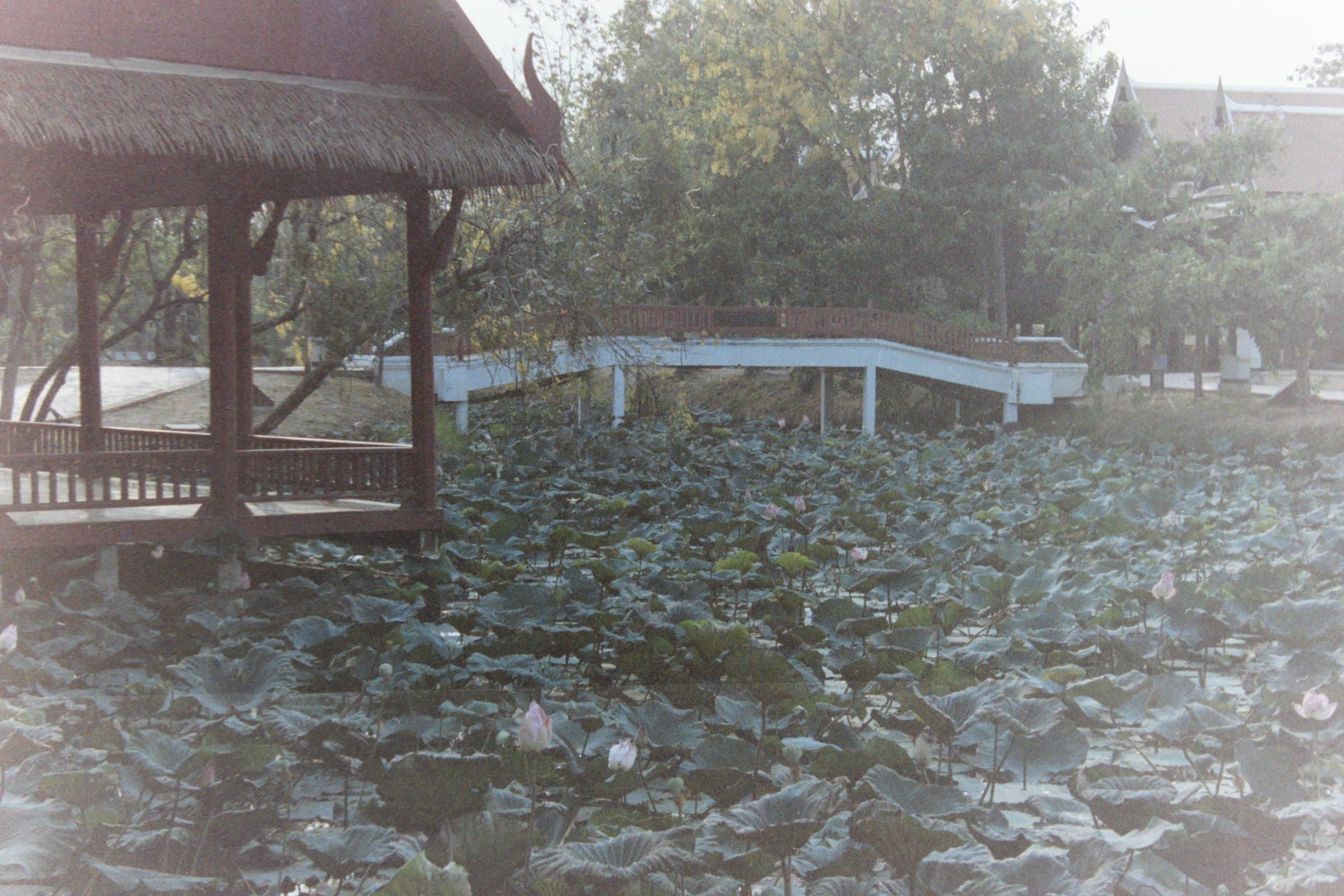 PICT0994