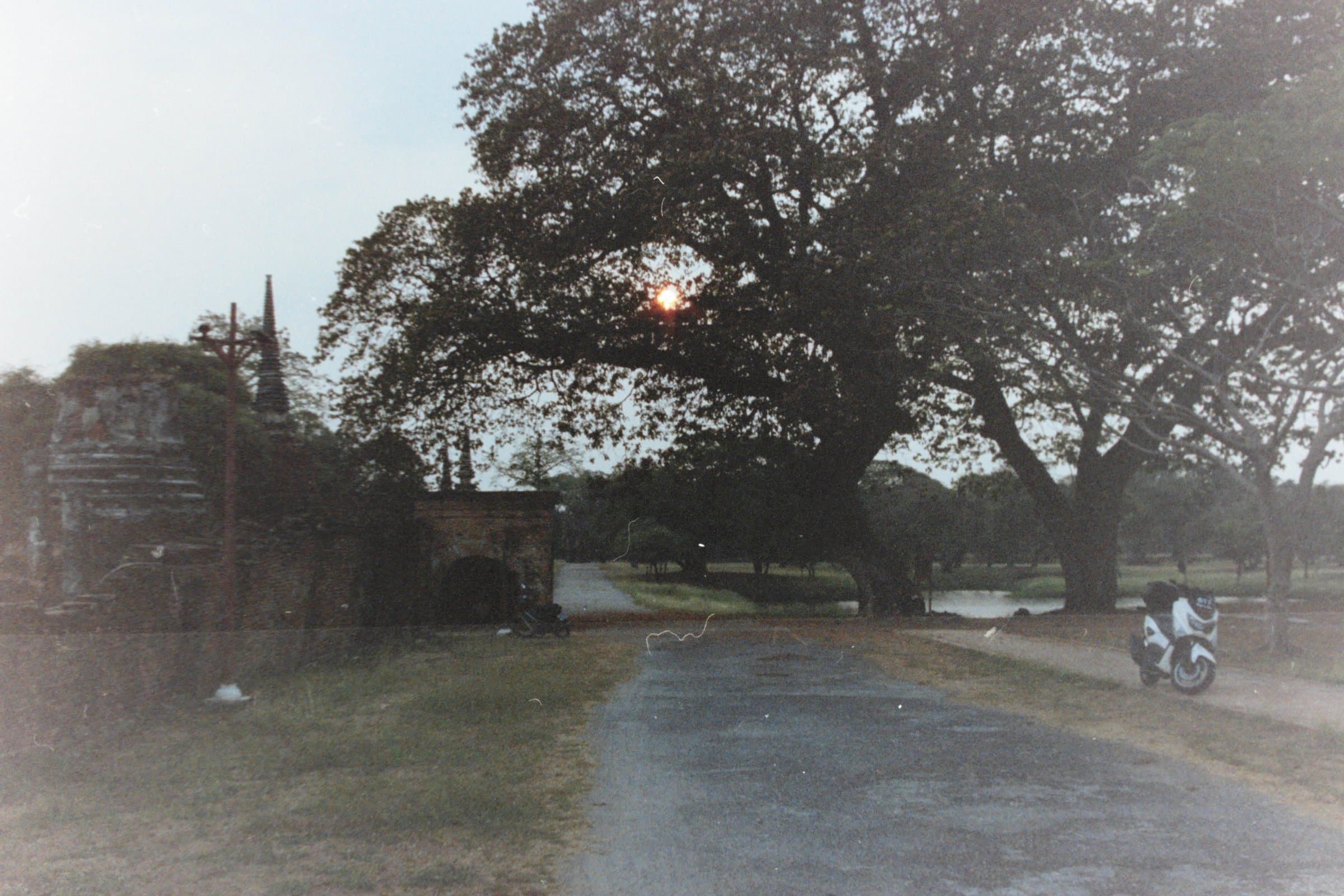 PICT0997