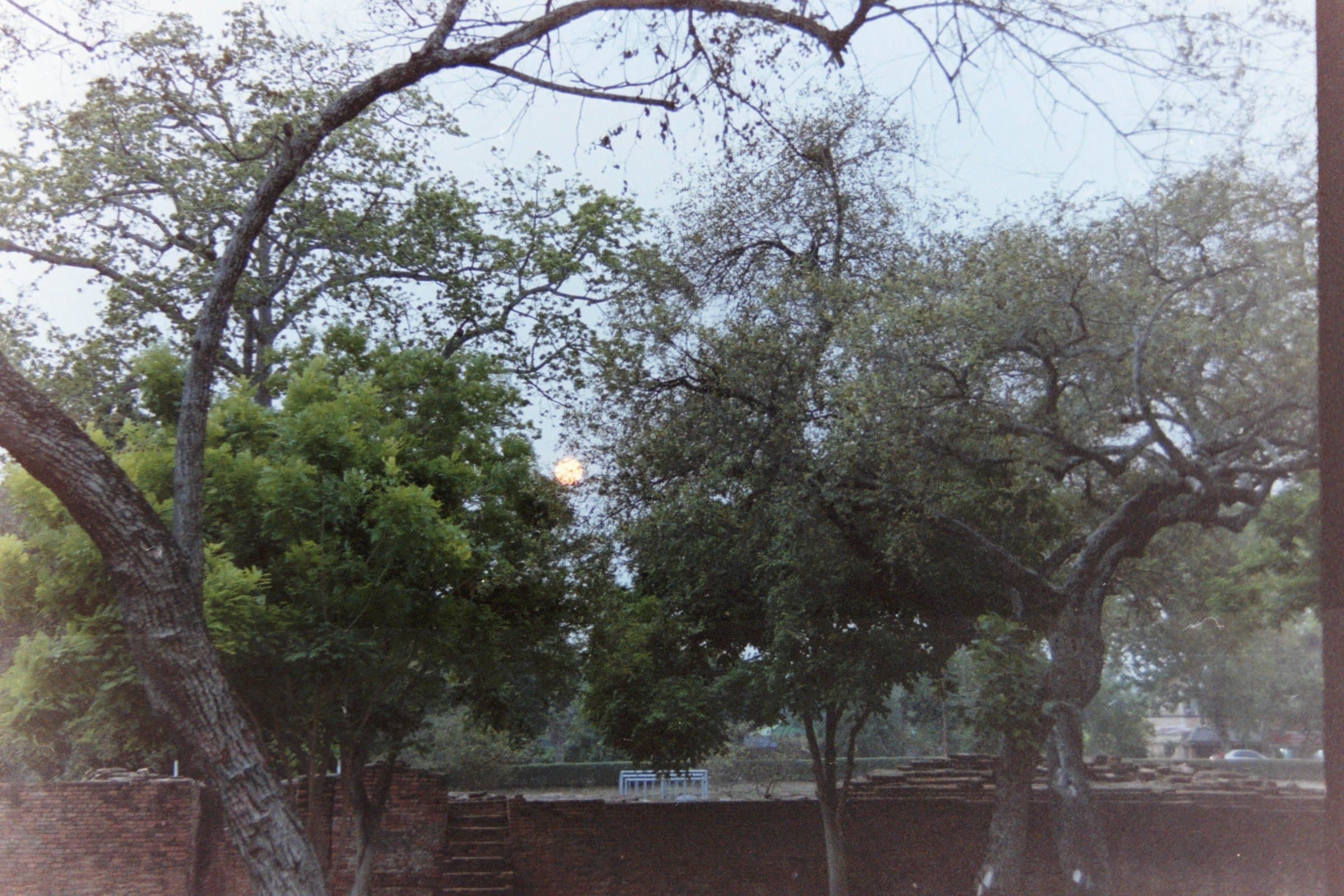 PICT0999