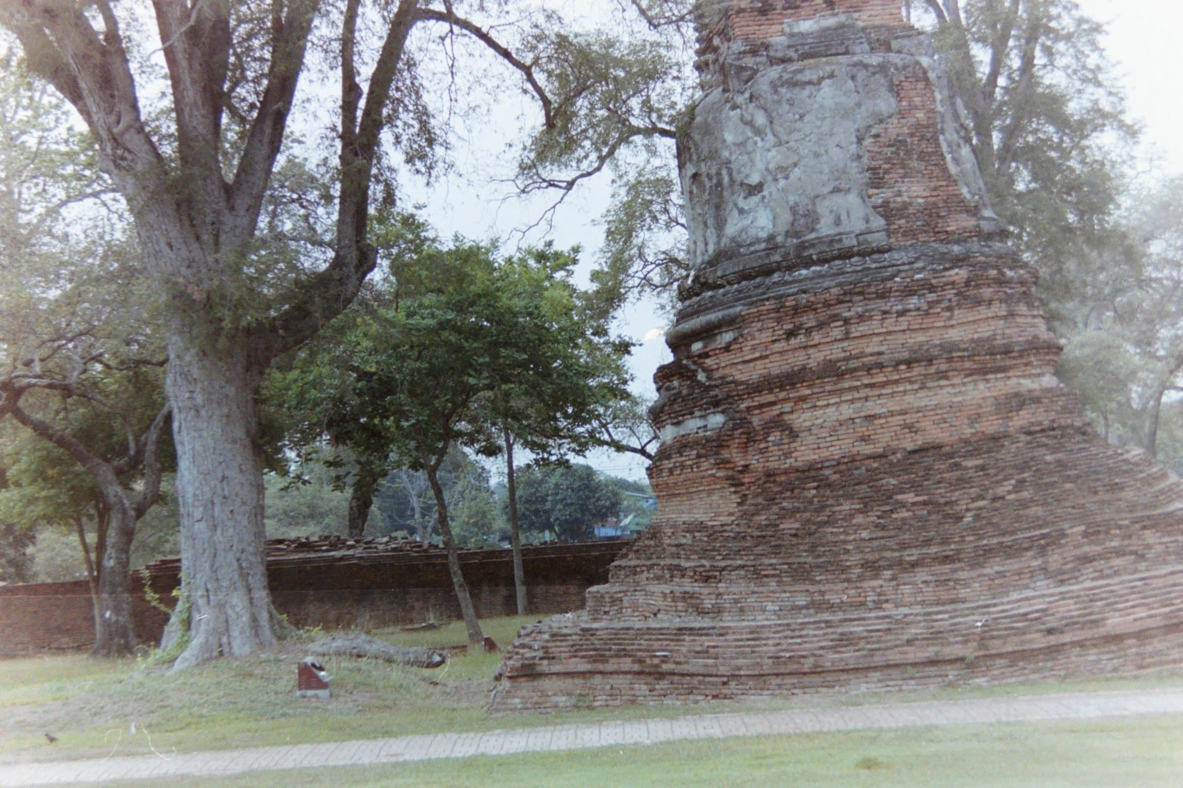 PICT1000